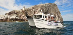 Sea Bird Centre