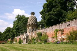 The Pineapple